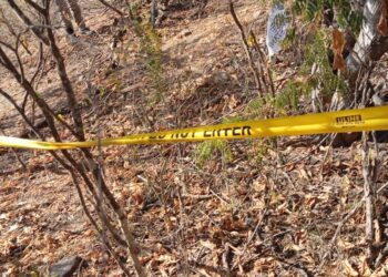 Colectivos de búsqueda localizan restos óseos humanos cerca de la Primavera en Culiacán