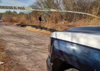 Localizan a hombre asesinado y carbonizado en la Isla Musala en Culiacán