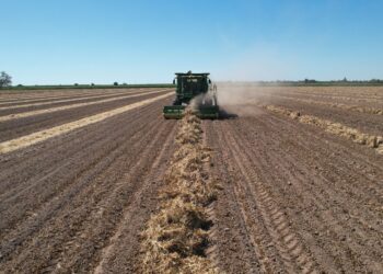 Anuncia la SADER “Estrategia Nacional De Transición Agroecológica 2024 – 2030”, ante agrónomos de UAM