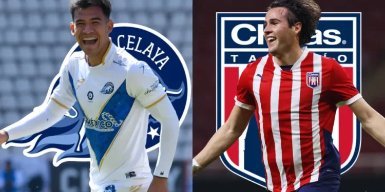 Así se jugará la Final de la Liga de Expansión 2024: equipos confirmados