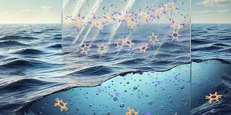 Desarrollan un plástico que se descompone en el agua del mar para reducir la contaminación