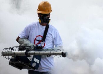 Dengue: 110 mil casos y 262 decesos en el país este año