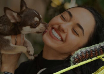 ¿Cómo proteger a mis perros y gatos de la plaga procesionaria?