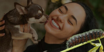 ¿Cómo proteger a mis perros y gatos de la plaga procesionaria?