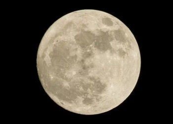Luna del Castor 2024 en México; esta es la hora exacta del fenómeno astronómico de noviembre