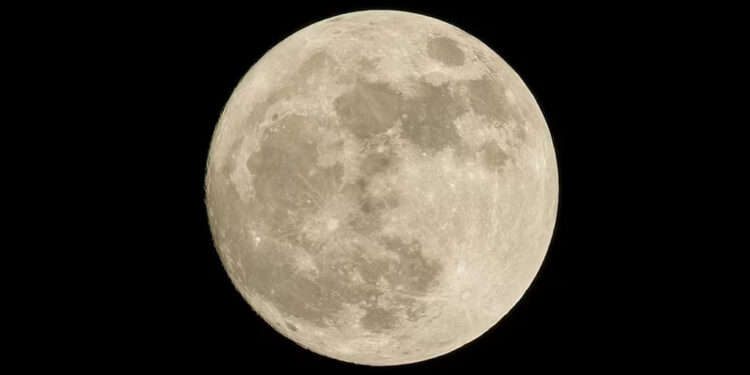 Luna del Castor 2024 en México; esta es la hora exacta del fenómeno astronómico de noviembre