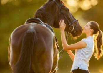 ¿Te gustan los animales? estas son las 7 profesiones a las que puedes aspirar para disfrutar de su compañía