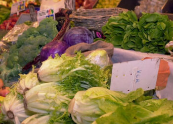 Precio de alimentos llegó en noviembre a nivel más alto desde abril de 2023, según la FAO