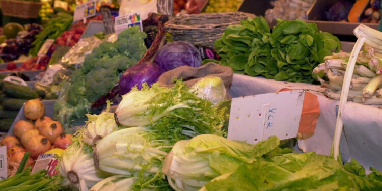Precio de alimentos llegó en noviembre a nivel más alto desde abril de 2023, según la FAO