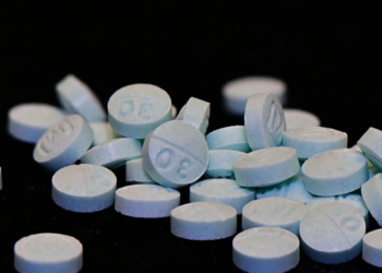 Gobierno de Sheinbaum no tiene información sobre reclutamiento de estudiantes de química por parte de cárteles