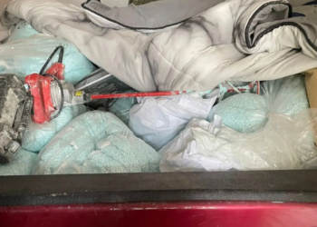 “Eran más de 20 millones de dosis”: Sheinbaum resalta decomiso histórico de fentanilo en Sinaloa