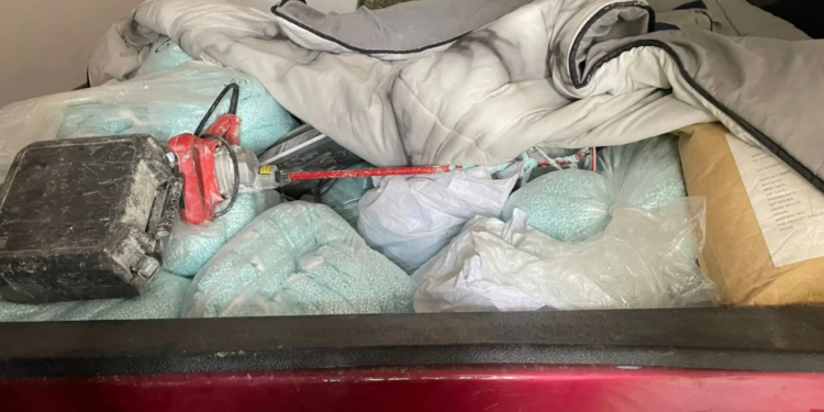 “Eran más de 20 millones de dosis”: Sheinbaum resalta decomiso histórico de fentanilo en Sinaloa