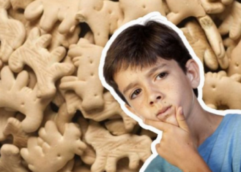 Galletas de animalitos: ¿Cuáles no son recomendables para niños?