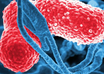 Sheinbaum anuncia investigación por bacteria que mató a menores en hospitales del Edomex