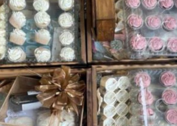 Aseguran en Nogales más de 300 mil pastillas de fentanilo ocultas en cajas de cupcakes