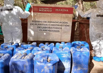 Semar ubica y destruye laboratorios clandestinos y plantas de marihuana en Sinaloa y Nayarit