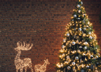 Árbol de Navidad: Cuáles son los elementos que no pueden olvidar