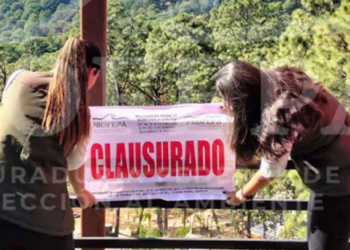 Clausuran Parque Camino Real del Tigre en Jalisco; dejaron a los animales abandonados