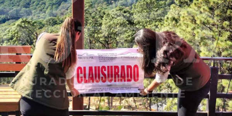 Clausuran Parque Camino Real del Tigre en Jalisco; dejaron a los animales abandonados