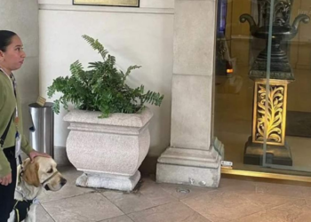 ‘No se aceptan mascotas’, hotel de NL le niega el acceso a mujer invidente por llevar perro guía