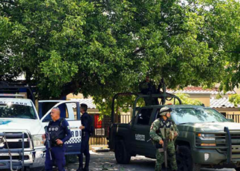 Gabinete de Seguridad logra detenciones y aseguramiento de droga en 12 estados