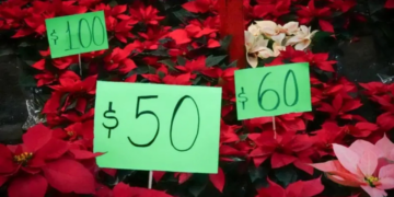 Profeco lanza operativo especial por vacaciones decembrinas