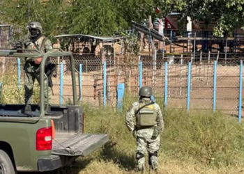Identifican los cuerpos hallados con sombreros en la Concordia, Sinaloa: eran albañiles y cuidadores de cerdos