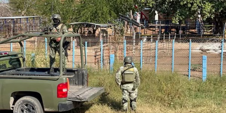 Identifican los cuerpos hallados con sombreros en la Concordia, Sinaloa: eran albañiles y cuidadores de cerdos