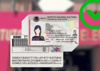 INE amplía vigencia de credencial para votar en elecciones del 2025; esta es la fecha límite para pedir una reposición