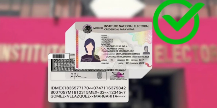 INE amplía vigencia de credencial para votar en elecciones del 2025; esta es la fecha límite para pedir una reposición