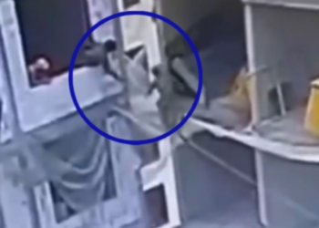 Albañil cae desde el doceavo piso tras romperse la red en que caminaba