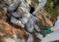 Armada de México y FGR neutralizan laboratorio clandestino en Sinaloa