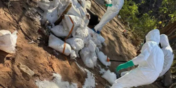 Armada de México y FGR neutralizan laboratorio clandestino en Sinaloa