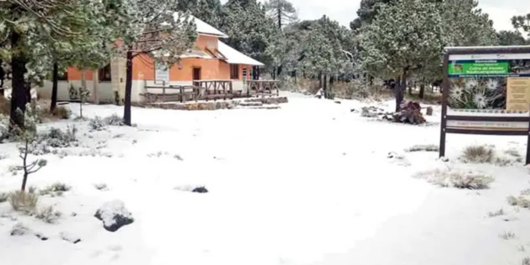 Esta Nochebuena se congelan en 4 estados; autoridades están alerta