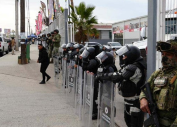 Gabinete de Seguridad arrebata millones en drogas al crimen organizado
