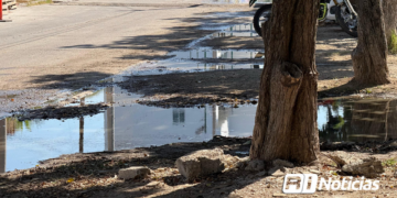 Siguen los derrames de aguas negras, ahora en el fraccionamiento Estadio en Mazatlán