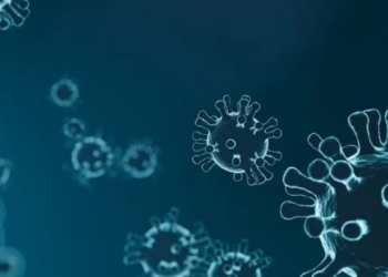 ¿Qué es el norovirus, síntomas de la infección y cómo puedes contagiarte?