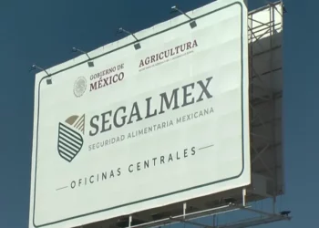 Nueva prórroga para productores de trigo: plazo se extiende hasta el 20 de diciembre