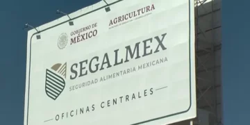 Nueva prórroga para productores de trigo: plazo se extiende hasta el 20 de diciembre