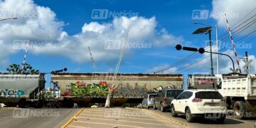 Cruces ferroviarios son “adornados” con plumas preventivas, ya que estas no bajan en el cruce Santa Rosa