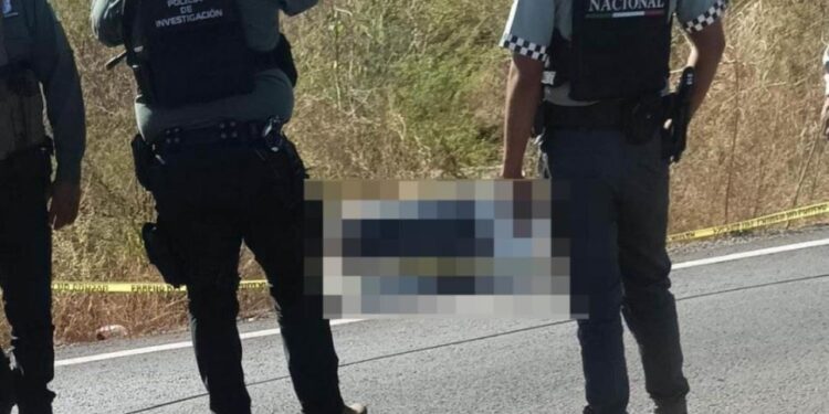 Dejan hielera con restos humanos en la Carretera México 15 a la altura de Elota