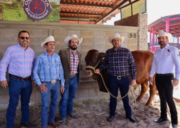 Éxito rotundo en el Tianguis de Sementales en Sinaloa