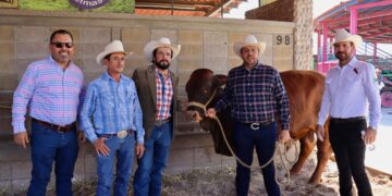 Éxito rotundo en el Tianguis de Sementales en Sinaloa