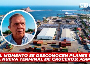 Por el momento se desconocen planes sobre una nueva terminal de cruceros: ASIPONA
