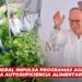 Gobierno federal impulsa programas agrícolas para garantizar la autosuficiencia alimentaria en Sinaloa