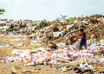 Mazatlán generó cerca de mil toneladas de basura por Nochebuena y Navidad: Servicios Públicos