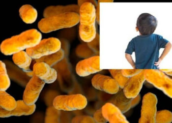 Suman 17 niños muertos por bacteria Klebsiella oxytoca en Edomex, Michoacán y Guanajuato