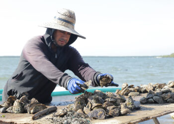 Agricultura establece nuevas vedas y periodos de aprovechamiento para especies pesqueras clave