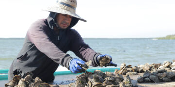 Agricultura establece nuevas vedas y periodos de aprovechamiento para especies pesqueras clave