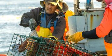 Veda temporal de especies de Pulpo y Almeja generosa inicia en Enero de 2025